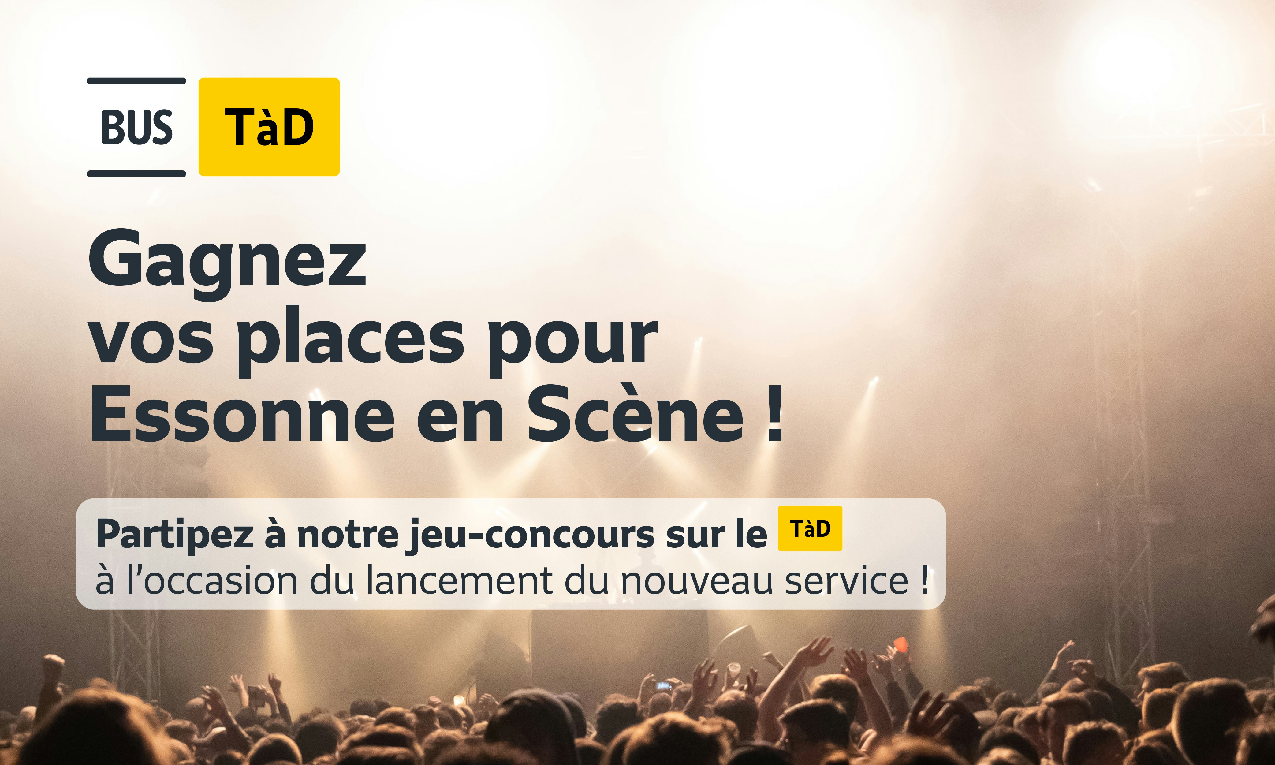 Foto de um concerto ao ar livre "d'Essonne en Scène" com uma multidão