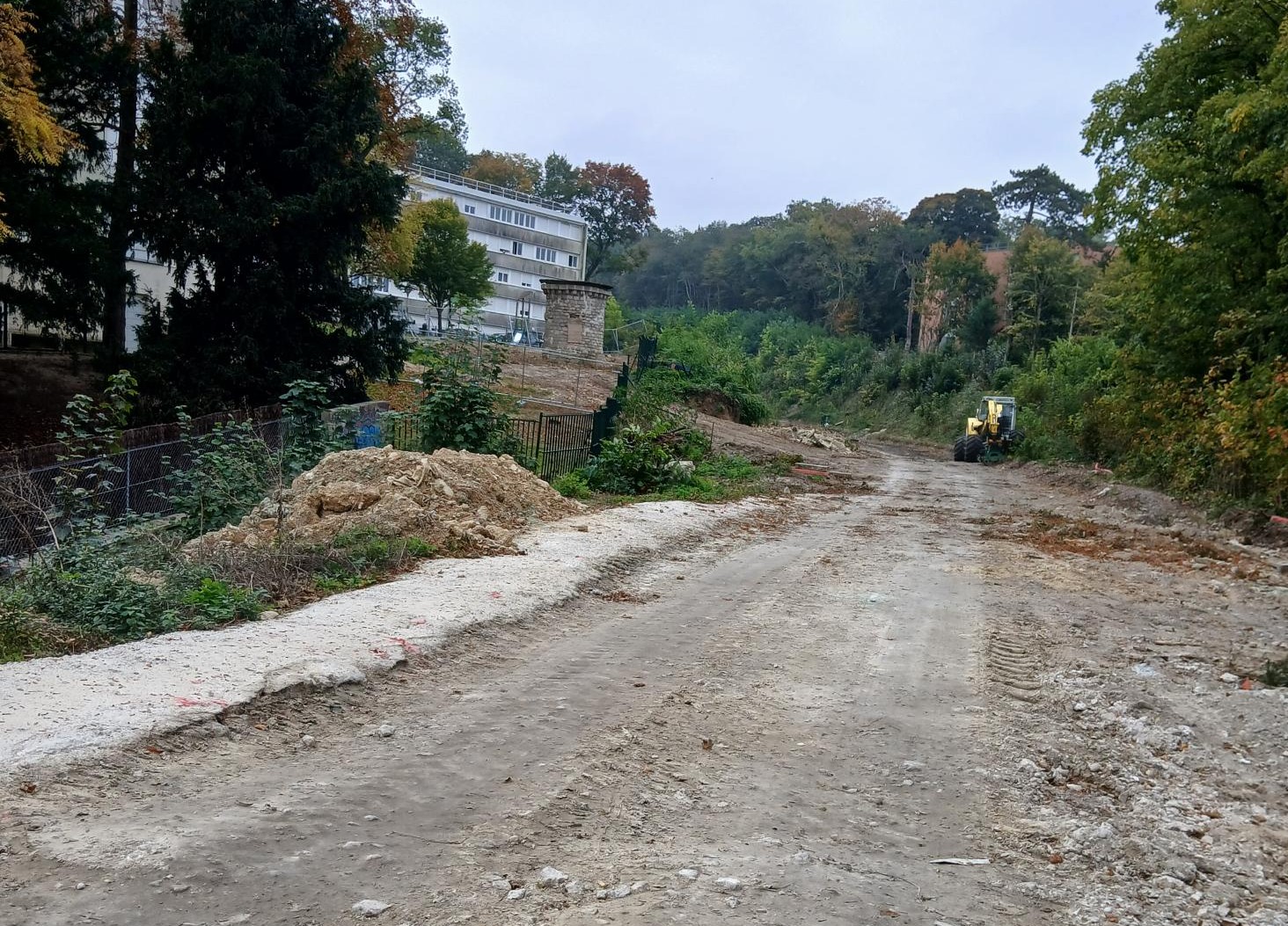 talus ferroviaire à l'entrée de Poissy