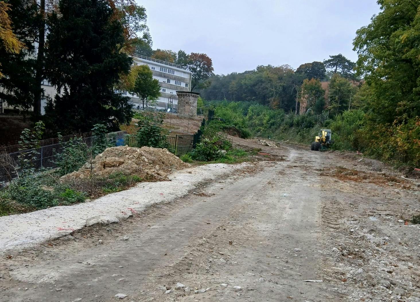 talus ferroviaire à l'entrée de Poissy