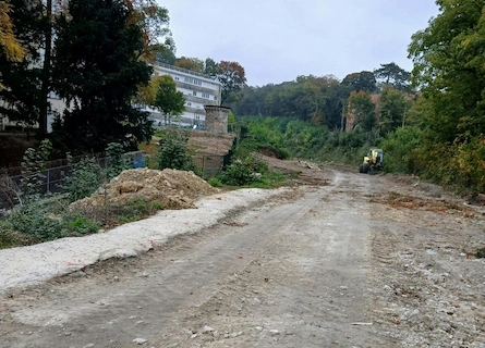 talus ferroviaire à l'entrée de Poissy