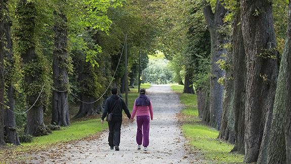 Balade en forêt de Claye-Souilly