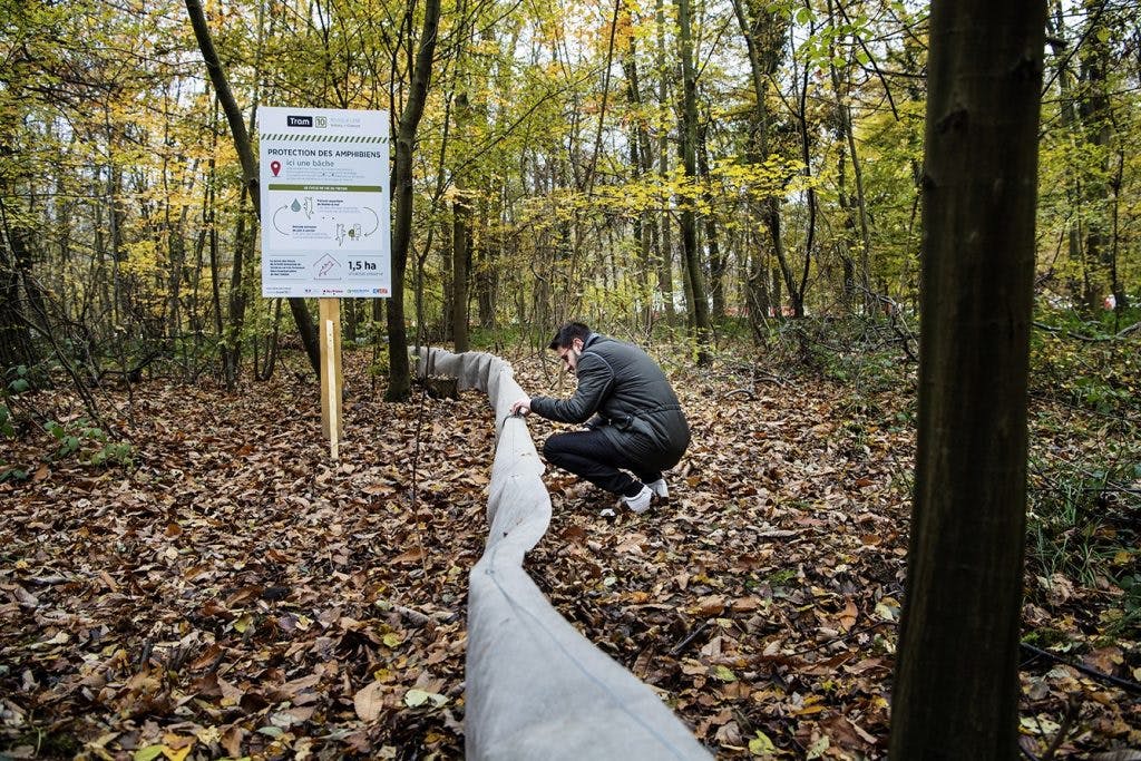 Personne posant des points de repère dans la forêt