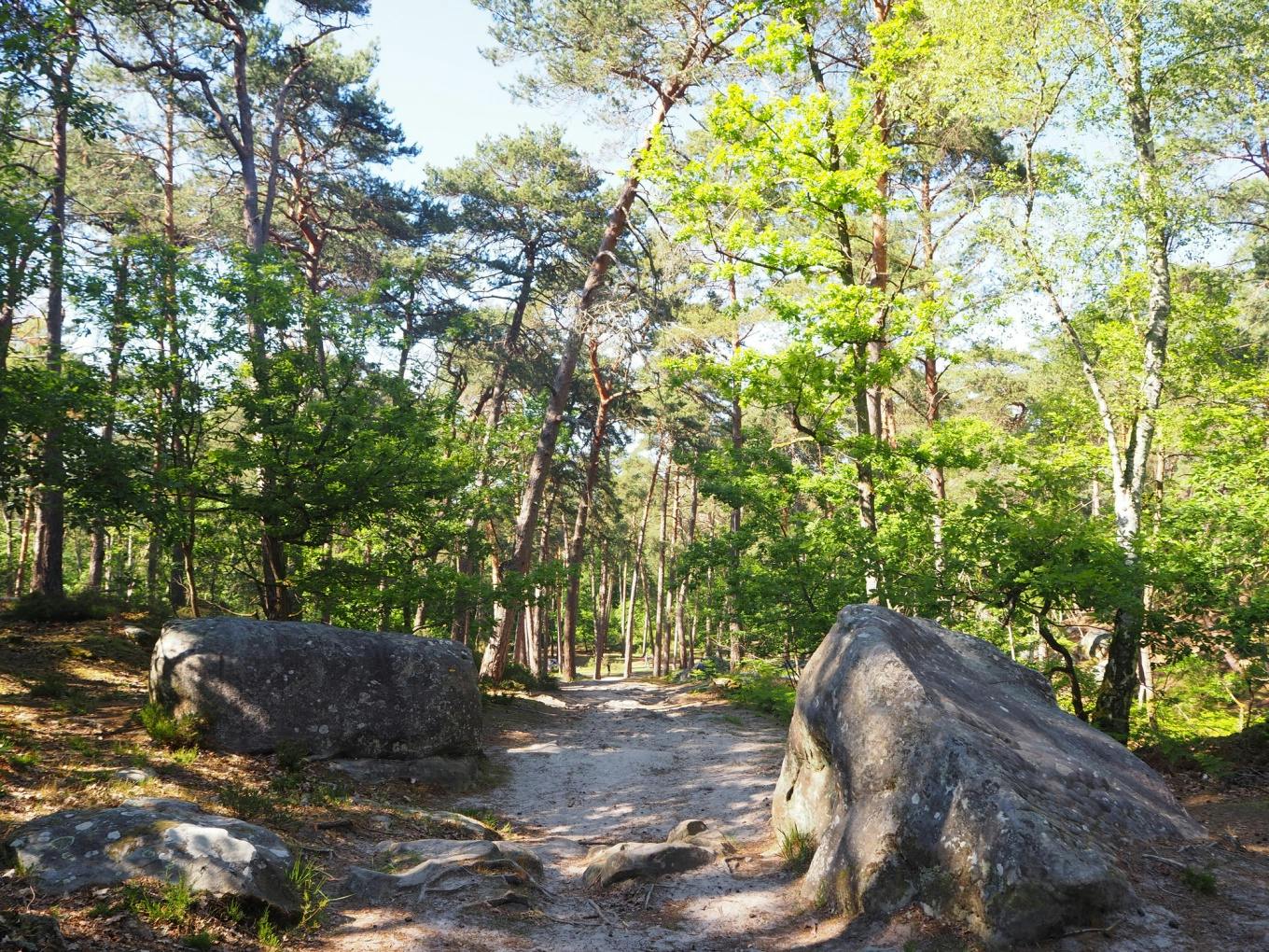 Barbizon-floresta-fontainebleau