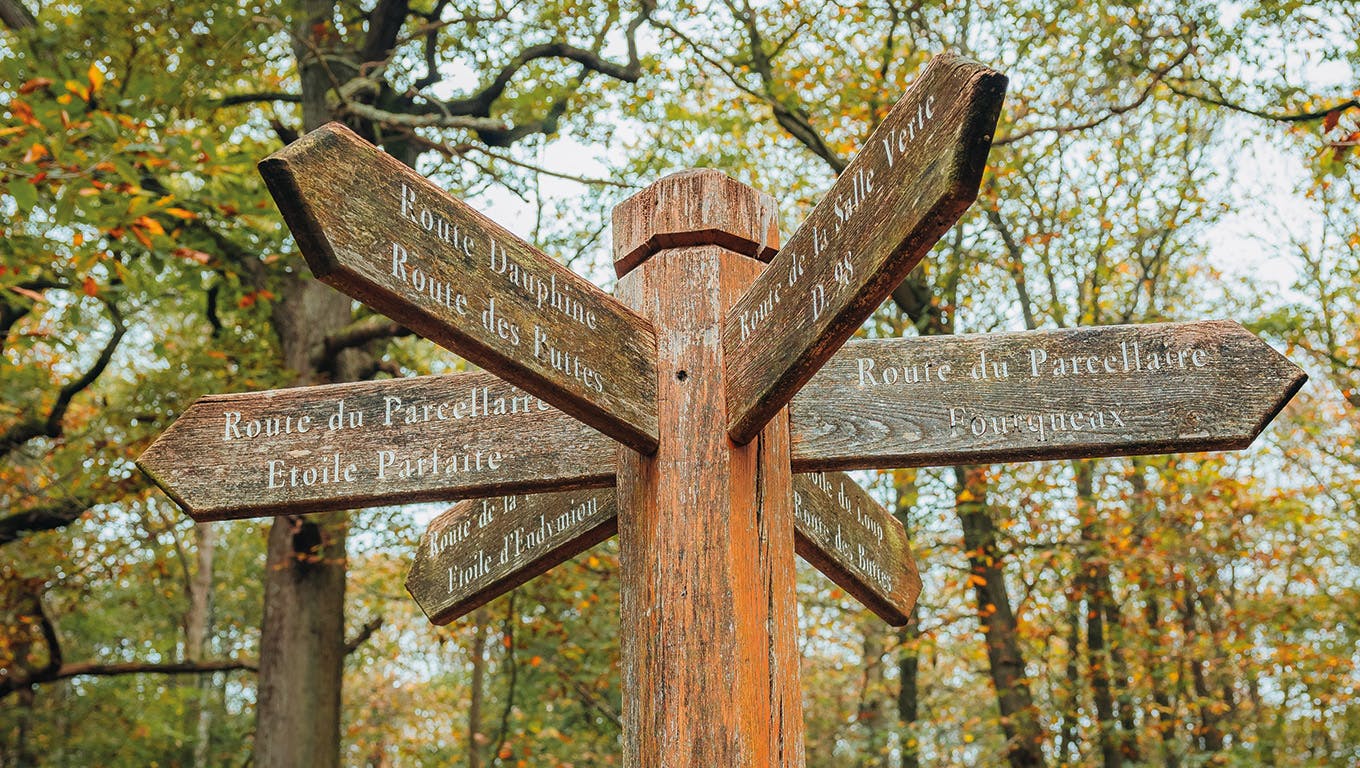 Posto di orientamento nella Foresta Nazionale di Saint-Germain-en-Laye