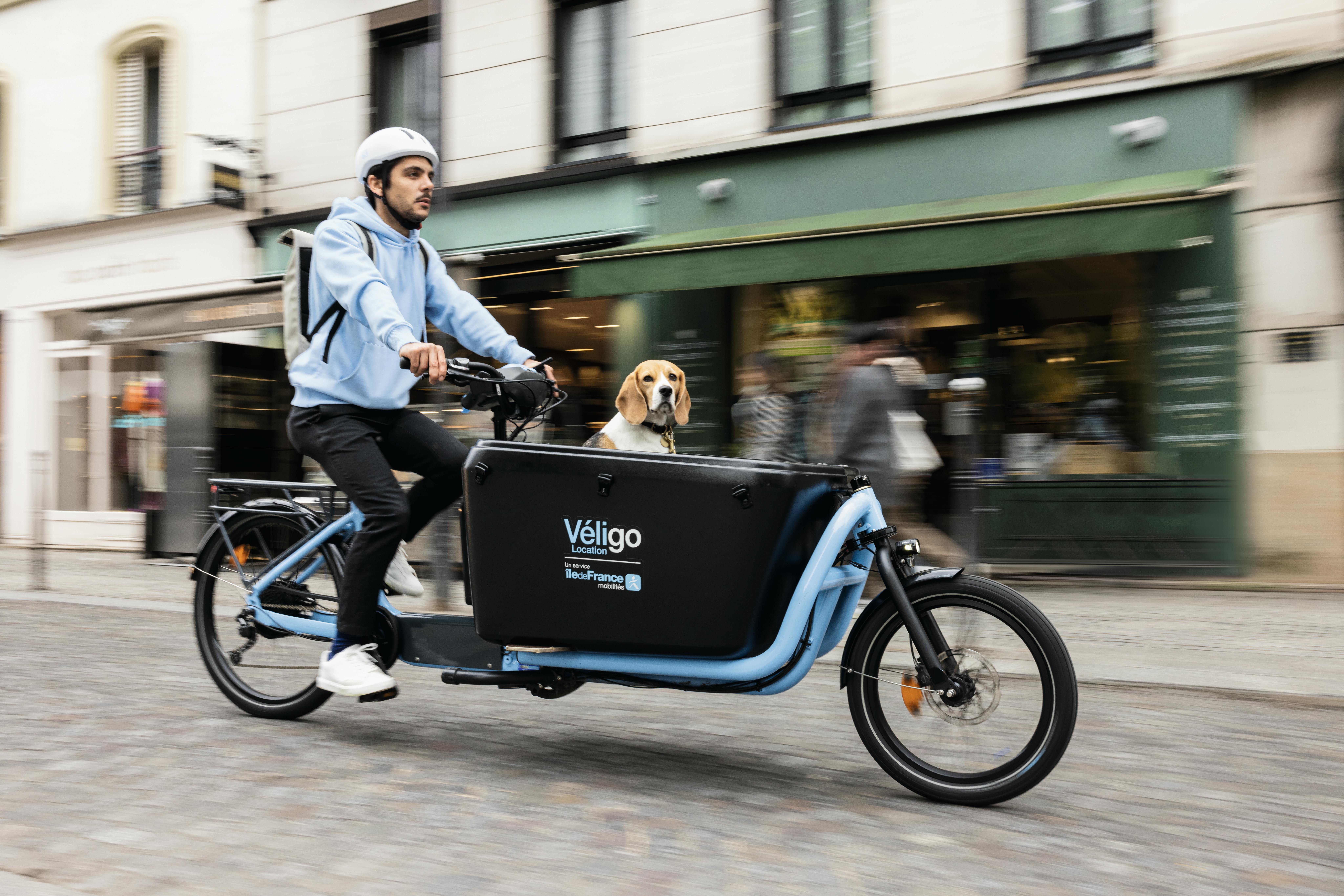 Une personne à vélo-cargo (Véligo) avec son chien à bord