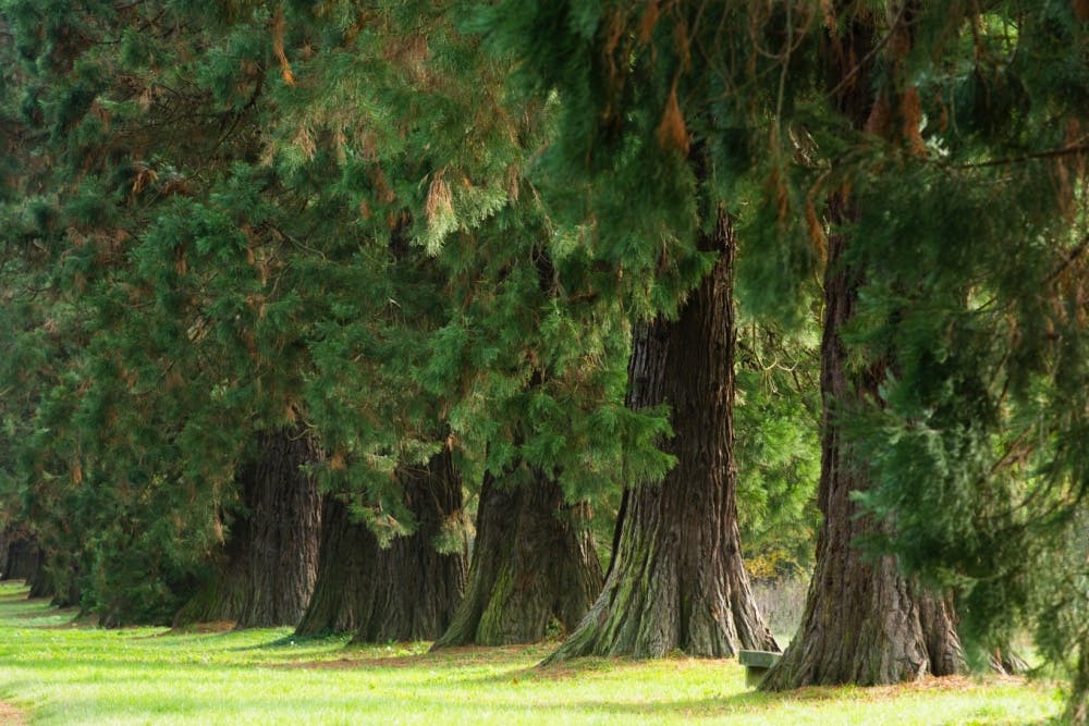 nos-idees-pour-des-fetes-de-fin-d-annee-hors-des-sentiers-battus-en-ile-de-france