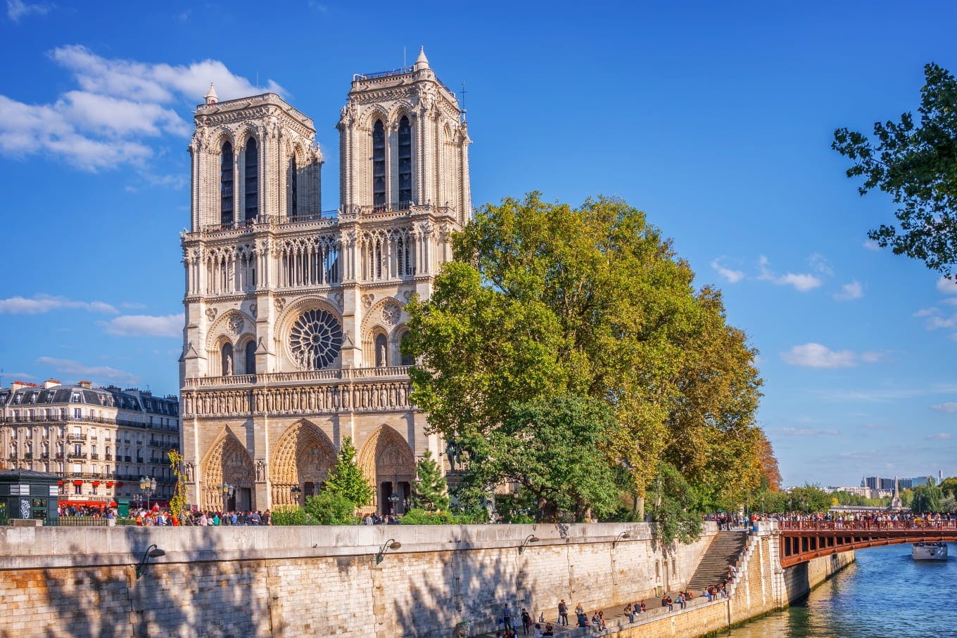 Notre-Dame de Paris Cathedral from the banks of the Seine in the Saint-Michel district of Paris - © Delpixart