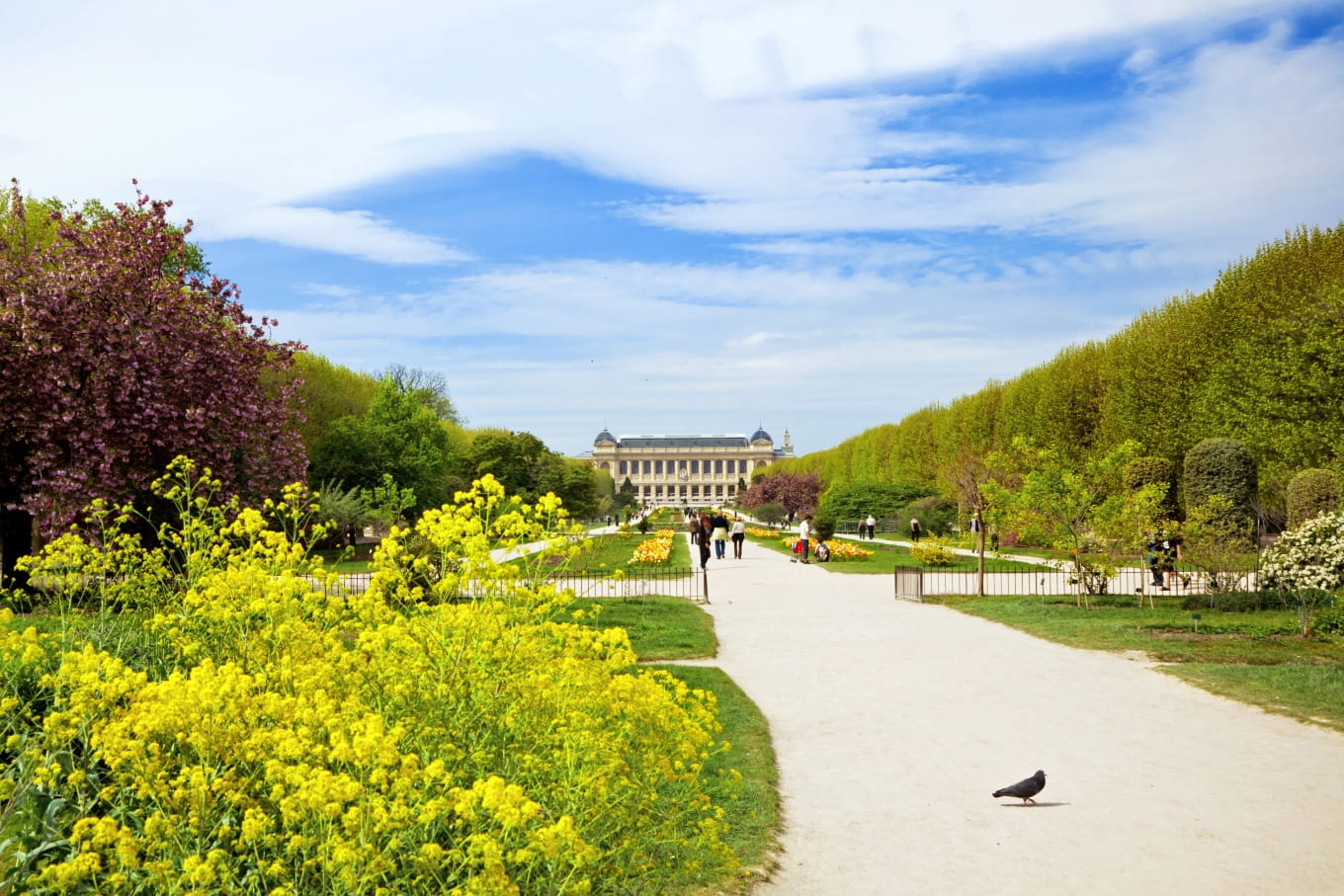 The Jardin des Plantes with, in the background, the National Museum of Natural © History ikada