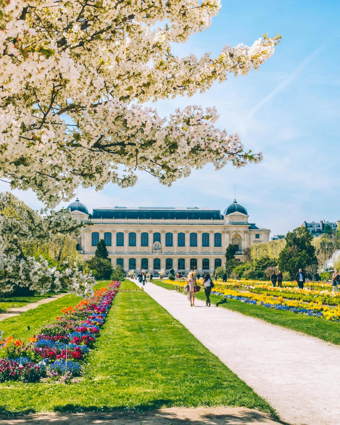 Mary Quincy Giardino delle Piante ©