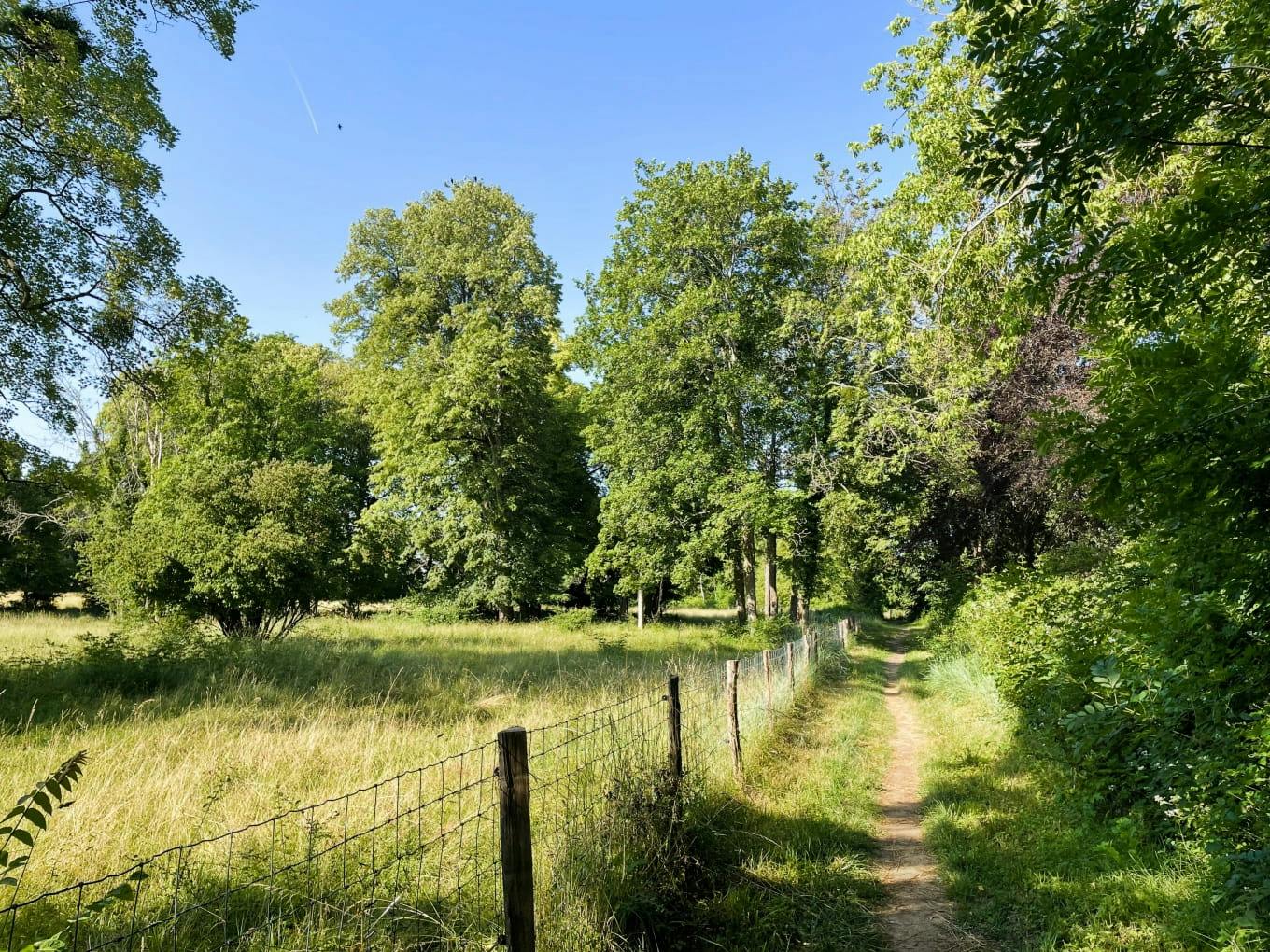 Les chemins de balade entre campagne, sous-bois et bords de Seine