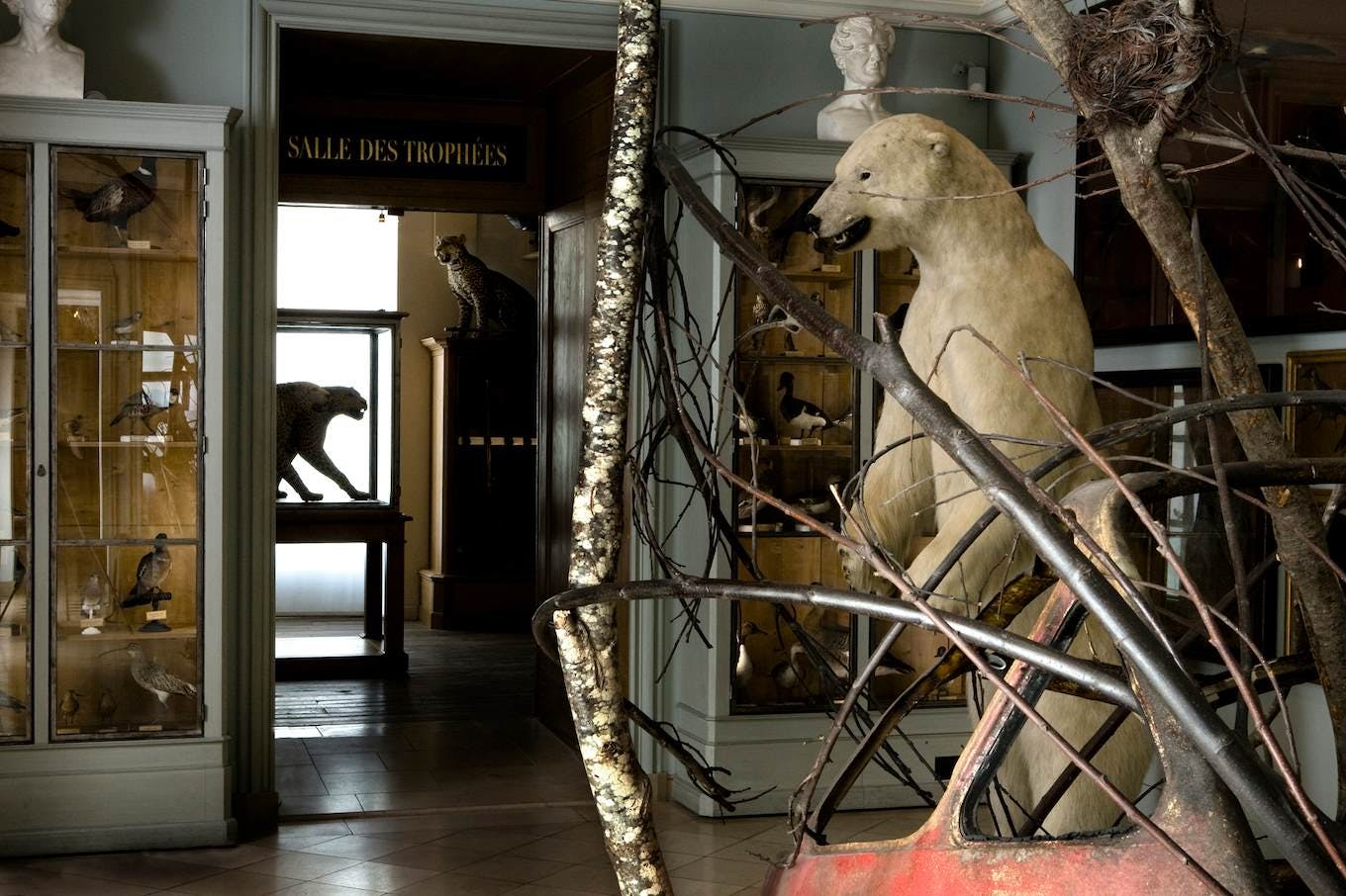 Der emblematische Eisbär der Salle Avifaune im Museum für Jagd und Natur