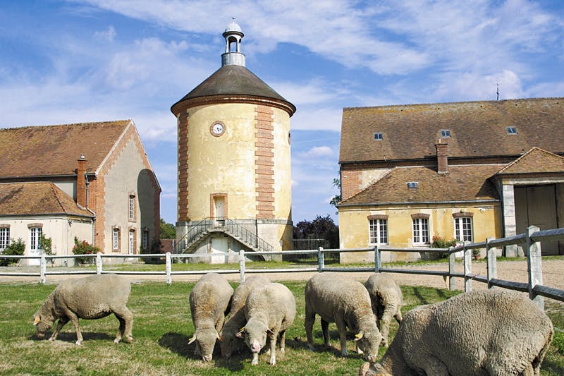 Château de Rambouillet  Les jardins du château de Rambouillet font 150 hectares et contiennent la Bergerie Nationale, lui de formation et de partage qui accueille cette année encore des apéros concerts au mois de juin et juillet 2026.