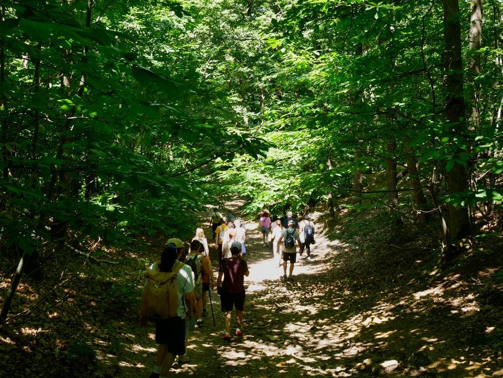 was-gibt-es-im-juni-in-der-ile-de-france-zu-sehen-zu-tun