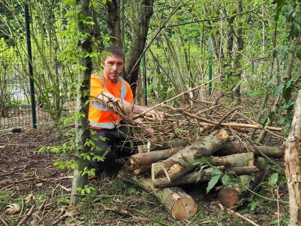Personne travaillant avec du bois dans la forêt